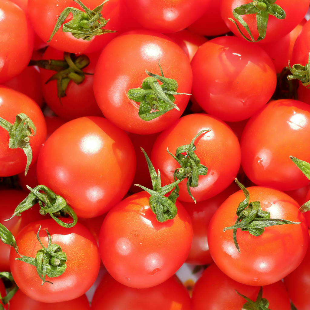 Tomatoes
